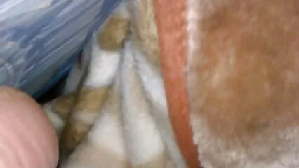 Après un baiser sur la fille nue et le salopes sexy mec se baisent parfaitement